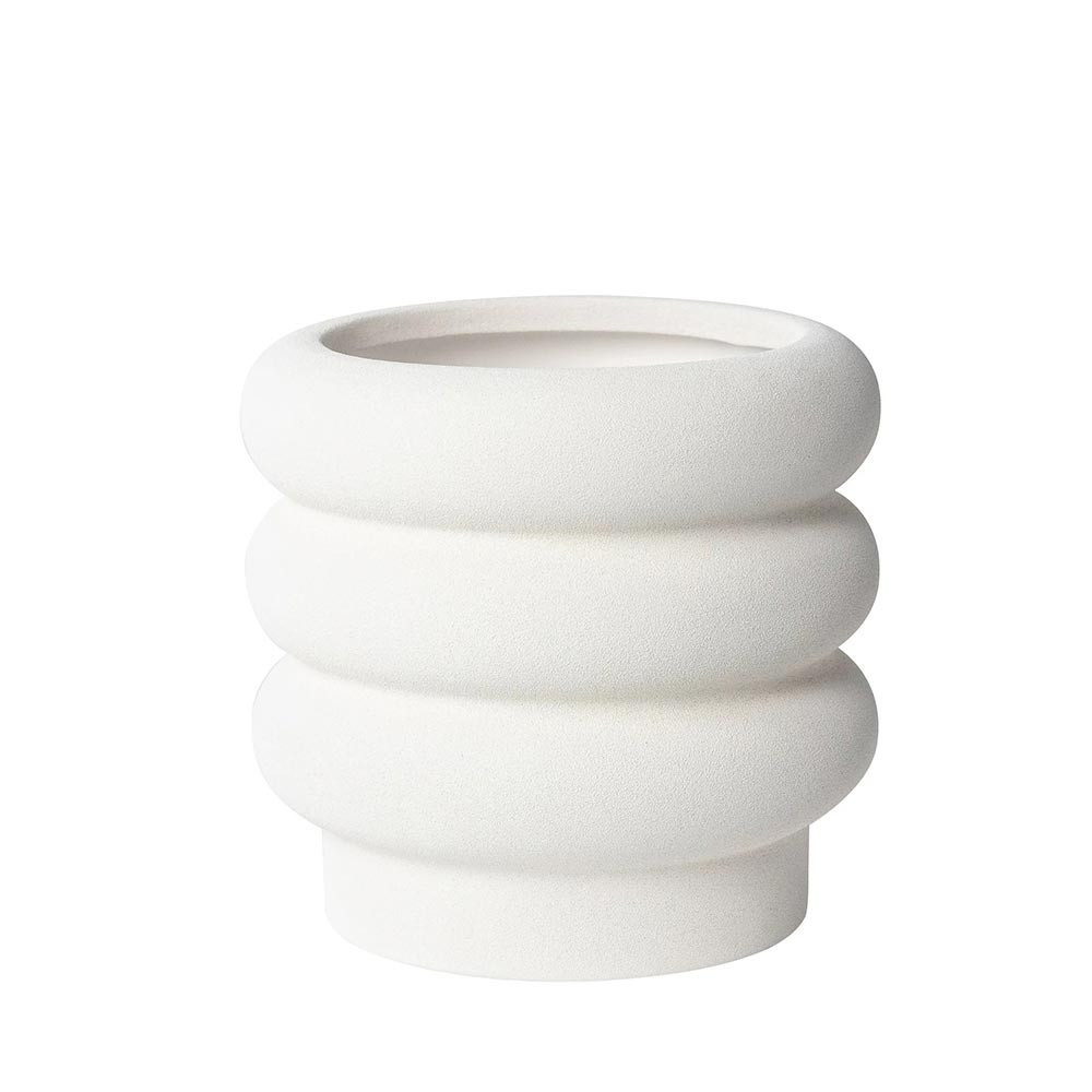 Indoor plants flower pot stems bunch storage spiral