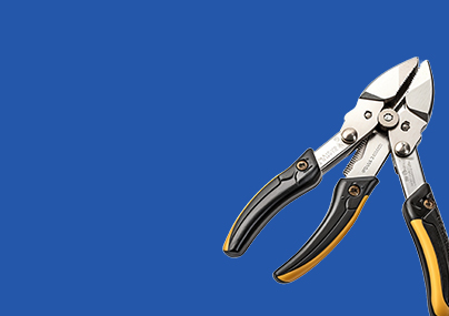 cms-banner-3.jpg