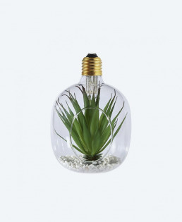 Hanging Glass Planters