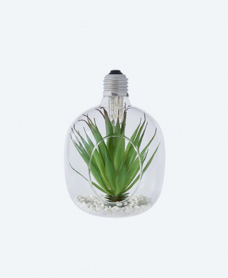 Hanging Glass Planters