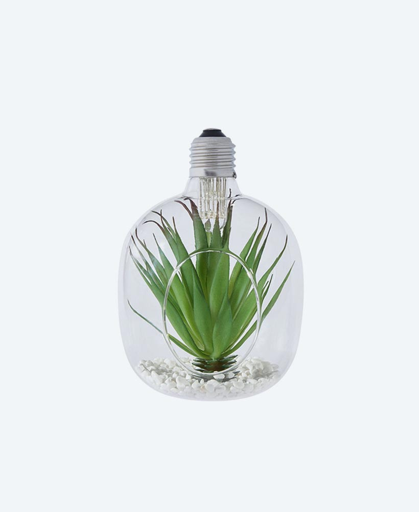 Hanging Glass Planters