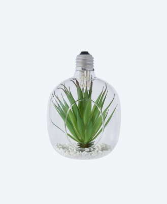 Hanging Glass Planters
