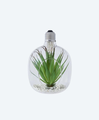 Hanging Glass Planters