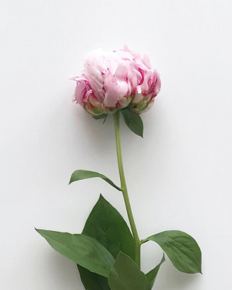 Glass Cylindrical Glass Vase