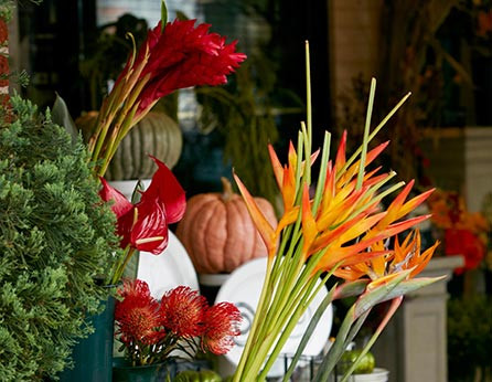 Sed ut perspiciatis unde omnis iste natus error accusantium doloremque