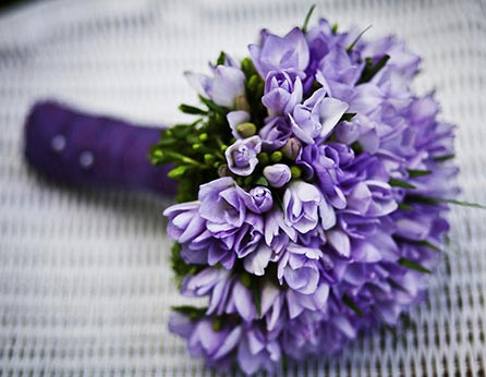 Nullam ullamcorper nisl quis ornare molestie saepe eveniet