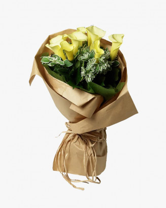 Gypsophila Flower Seed