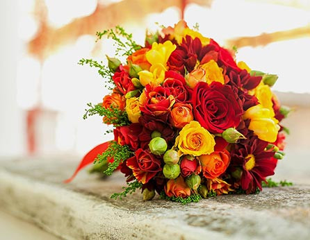 Nullam ullamcorper nisl quis ornare molestie saepe eveniet