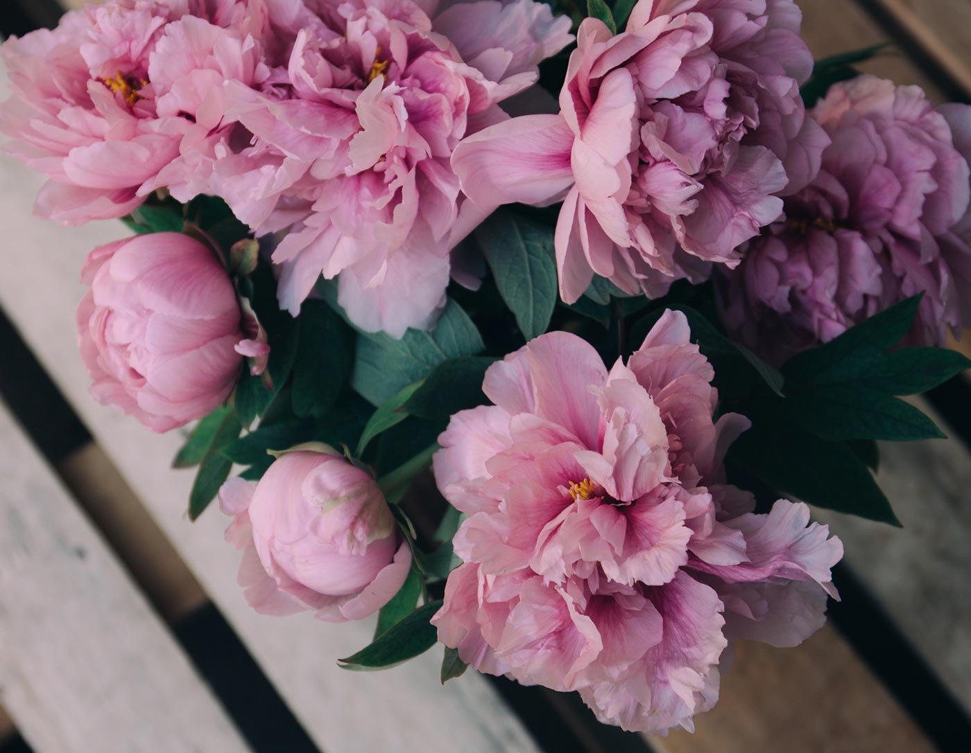 Morbi condimentum molestie Nam enim odio sodales molestie