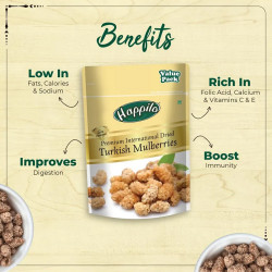 International Dried Turkish Mulberries