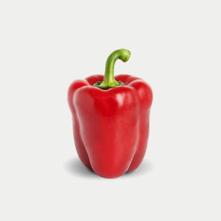 Kirat Organic Green Capsicum Seed