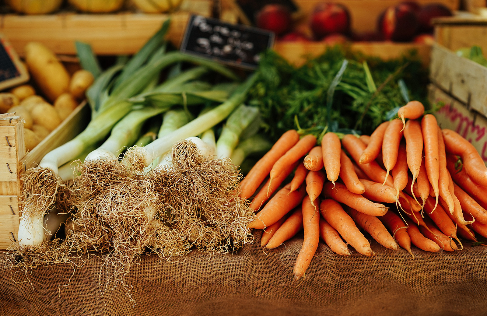 Ipsum cursus vestibulum at interdum Vivamus