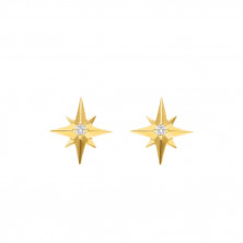 Guiding Star Ear Studs