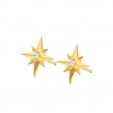 Guiding Star Ear Studs