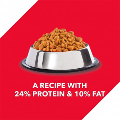 drools adult nutrition and health dog dry food