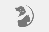Housesitter