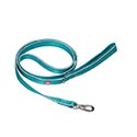 Clip Leash