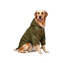 Dog Clothes