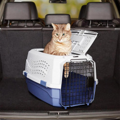 top-load hard-sided pet travel carrier largest box