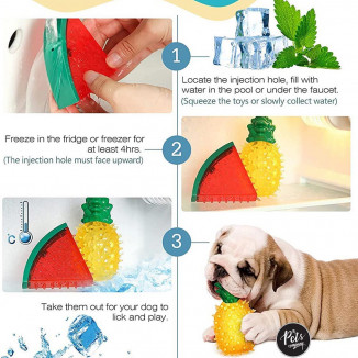 kittupet watermelon shaped fruit chew squeaky dog