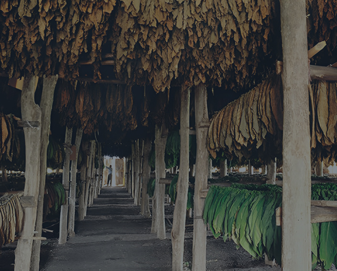 cms-banner-3.jpg