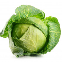 Cabbage Amrit Organic Hybrid Seeds