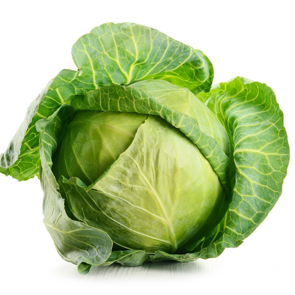 Cabbage Amrit Organic Hybrid Seeds