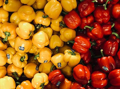  Find Top Brands in Sportswear, Footwear, and Training Accessories