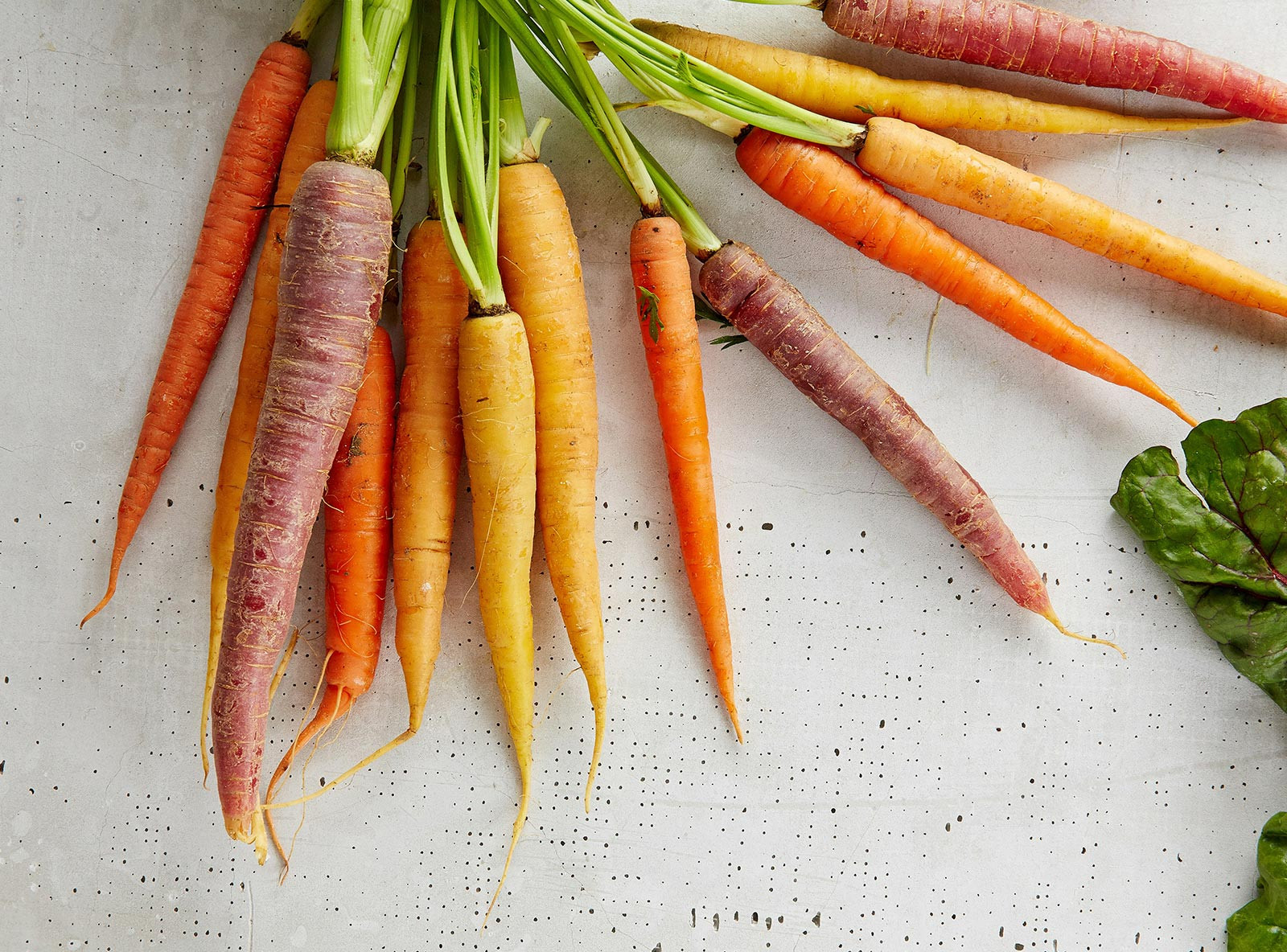 What Makes Our Vegetables Fresher Than Supermarket Produce
