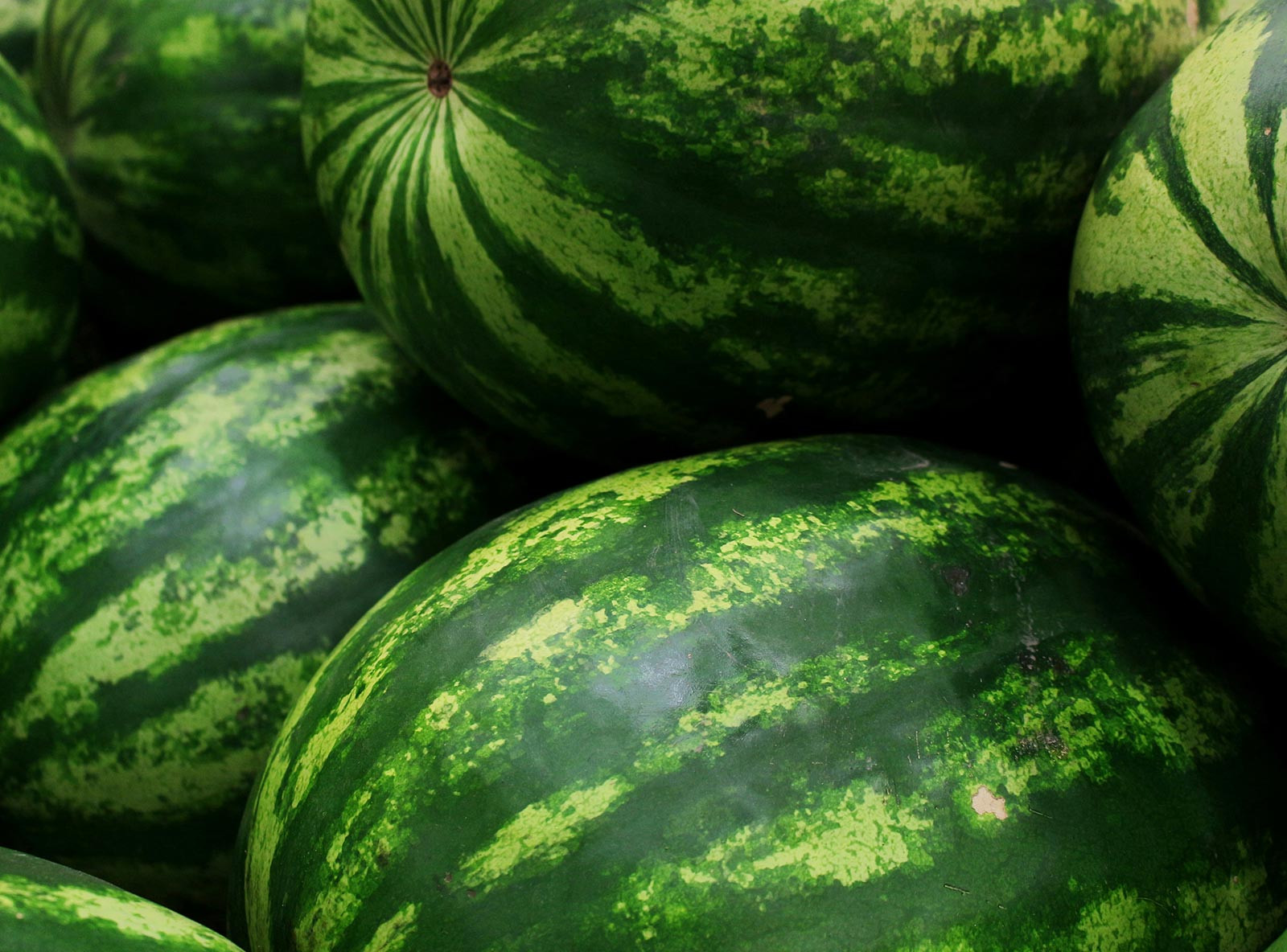 High-Performance Sportswear Designed for Comfort and Strength