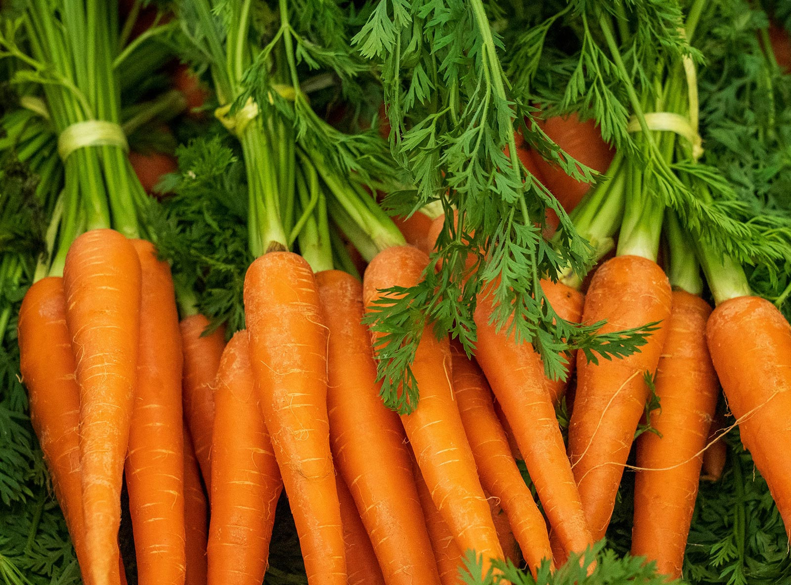 Fresh, Fast, and Local: Your New Favorite Vegetable Spot