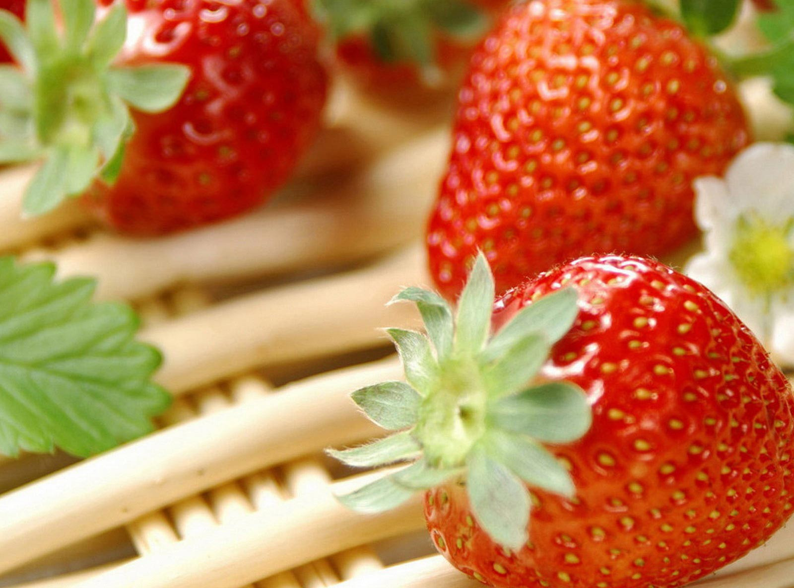 Vegetables You Should Eat More Often for Better Health