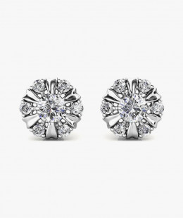 Sterling Silver Earrings