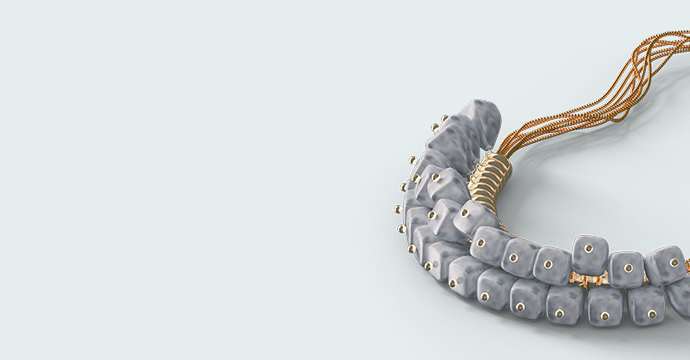 cms-banner-2.jpg