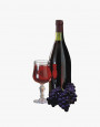 grapes isolated