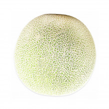 cooPany cantaloupe, kharbuja, musk melon