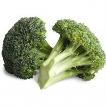 broccoli gobhi gardening plant seeds
