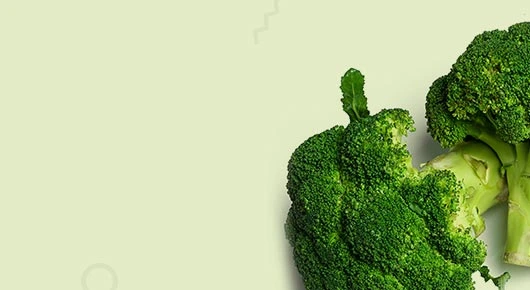 cms-banner2