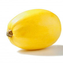 spaghetti squash - price per pound