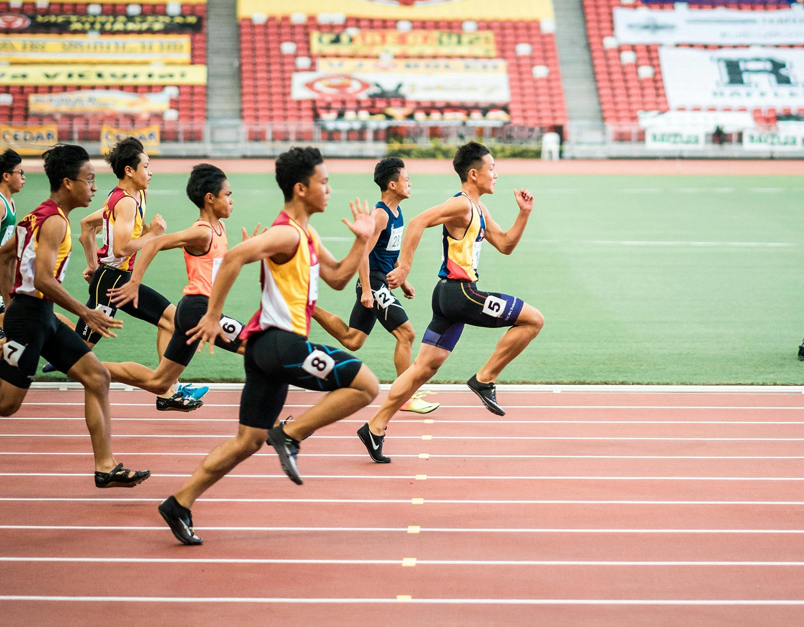 Complete Your Toolkit With Top-Quality Essentials