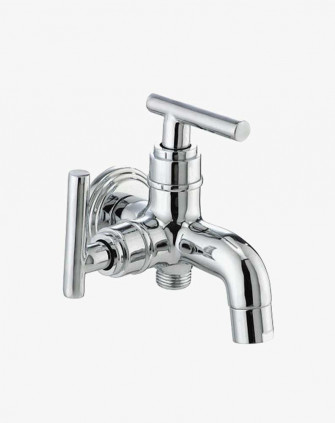 Two way bib tap