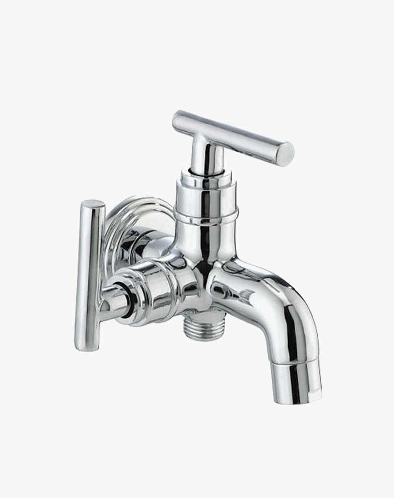 Two way bib tap