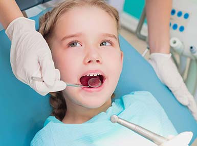 Get the tools your trade or project demands today