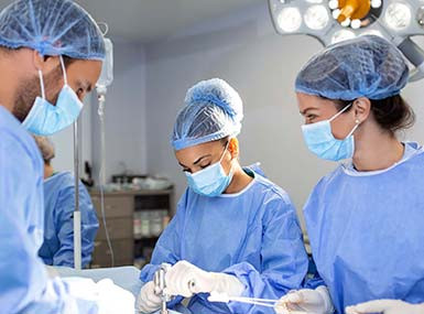 Explore our full range of tools built for durability