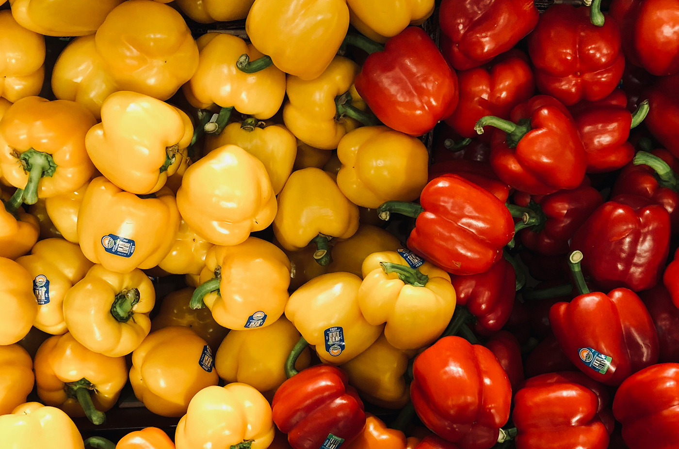 Best Vegetables for Weight Loss Diets Best Vegetables for Weight Loss Diets