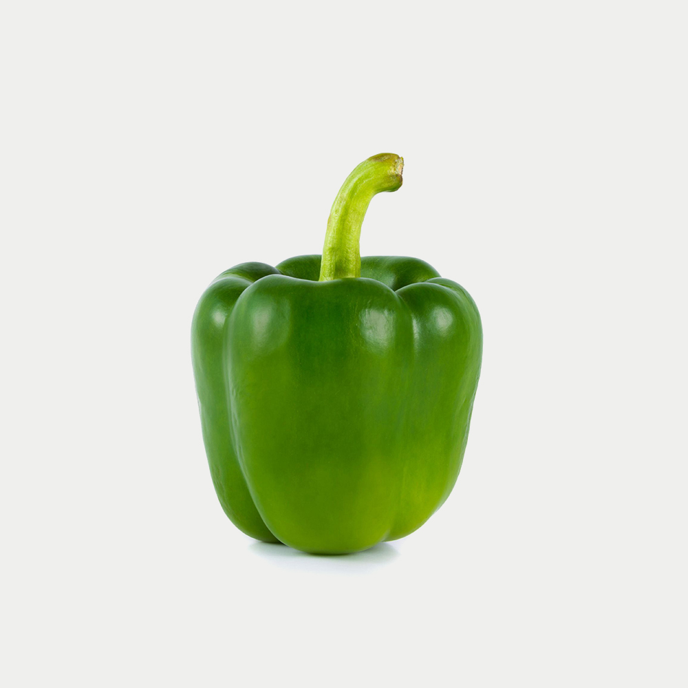 Newest Console Bundle – Green, Large