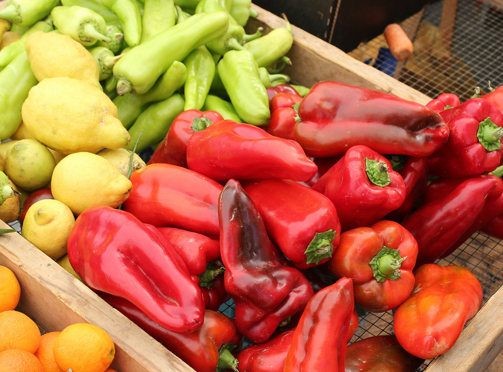 Vegetables are a good source of energy and nourish Vegetables are a good source of energy and nourish