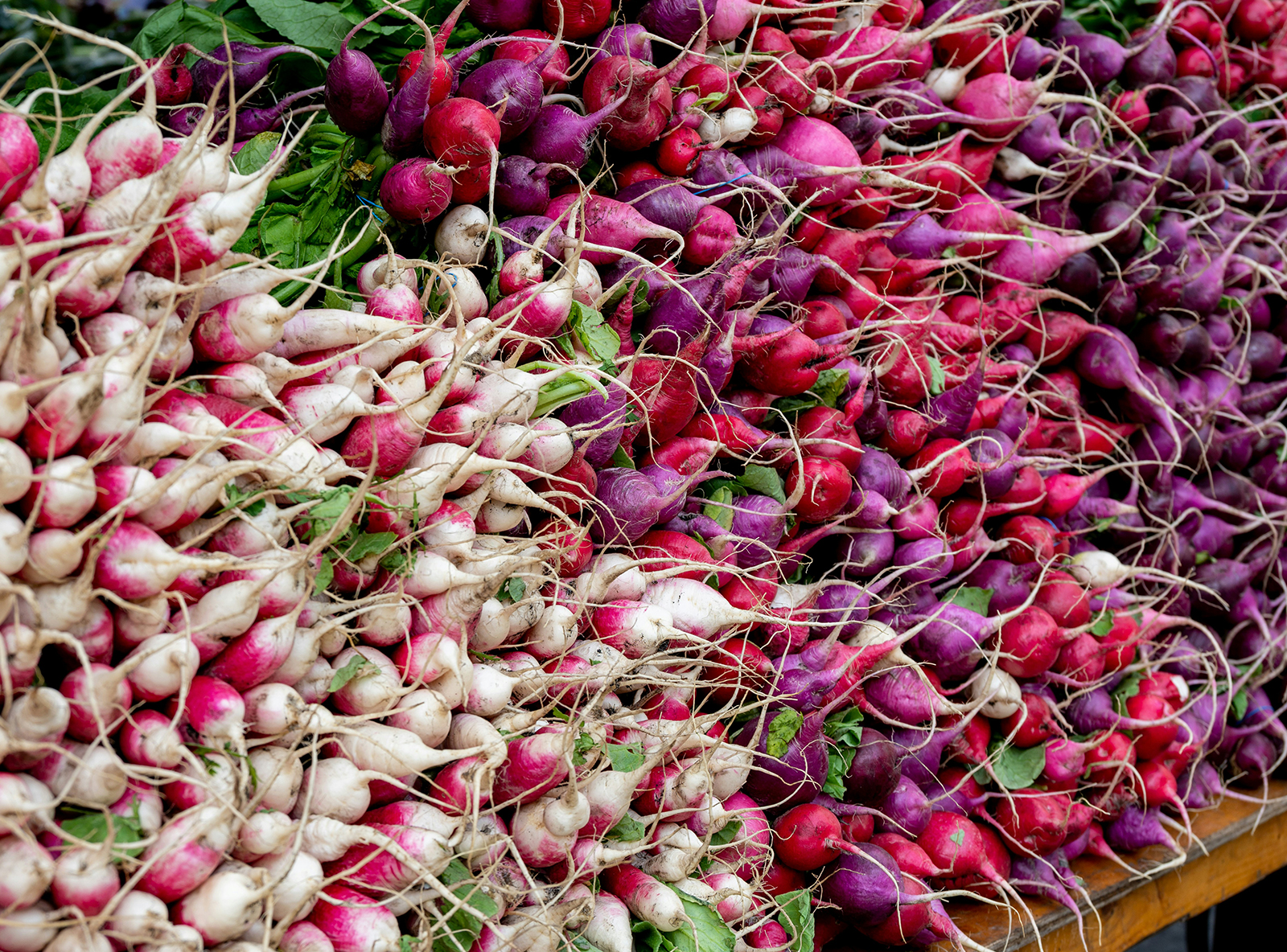 ating vegetables increases the immune system and keeps ating vegetables increases the immune system and keeps