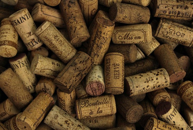 Beginner guide to wine tasting and flavor notes explained simply