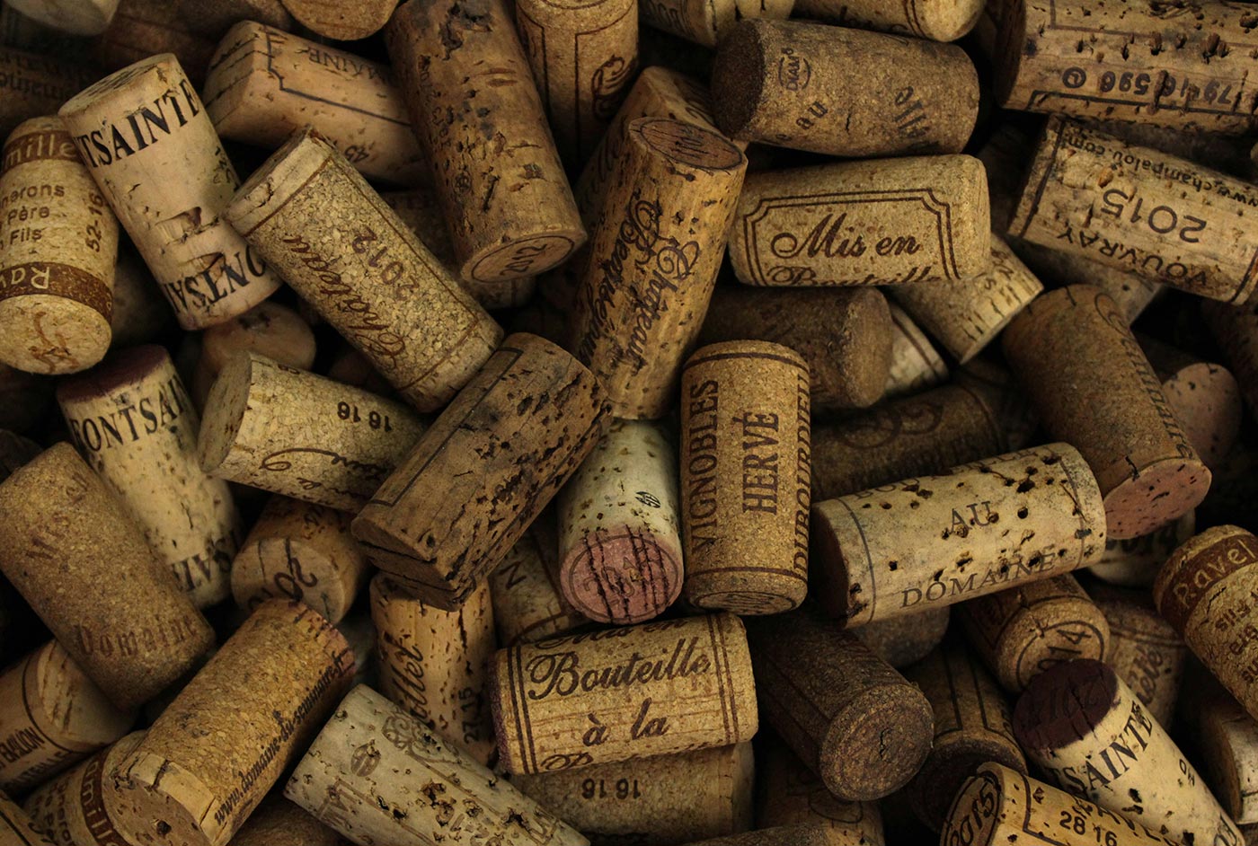 Beginner guide to wine tasting and flavor notes explained simply